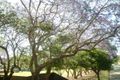 Property photo of 31 Alexander Street Dundas Valley NSW 2117