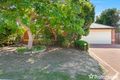 Property photo of 7 Witchetty Loop Banksia Grove WA 6031