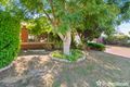 Property photo of 7 Witchetty Loop Banksia Grove WA 6031