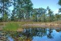Property photo of 343 Budd Road Cedar Creek NSW 2325