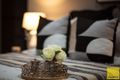 Property photo of 10 Daybreak Way Truganina VIC 3029