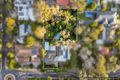 Property photo of 22 Ayr Avenue Torrens Park SA 5062