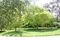 Property photo of 2 Normanby Avenue Mount Macedon VIC 3441