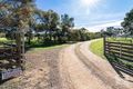 Property photo of 24 Fitzpatrick Road Strathalbyn SA 5255