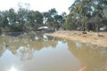 Property photo of 155 Scotts Road Lillicur VIC 3371