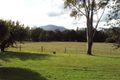 Property photo of 112 Cullen Street Nimbin NSW 2480