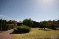 Property photo of 50 Wilkins Street Glengowrie SA 5044