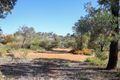 Property photo of 55 Drummondi Drive Toodyay WA 6566