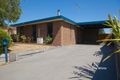 Property photo of 41 Craig Avenue Tyabb VIC 3913