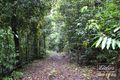 Property photo of 387 Old Cairns Track Butchers Creek QLD 4885