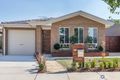 Property photo of 25 Rockwood Street Casey ACT 2913