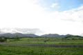 Property photo of 247 Donkin Road Utchee Creek QLD 4871