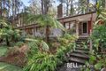 Property photo of 49 The Crescent Sassafras VIC 3787