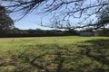 Property photo of 39 Liberty Parade Ivanhoe VIC 3079