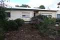 Property photo of 38 Poplar Avenue Keith SA 5267