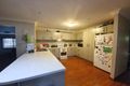 Property photo of 3 Almond Street Denman NSW 2328