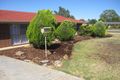 Property photo of 43 Illyarrie Avenue Surrey Downs SA 5126