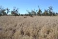 Property photo of 100 Cocks Millard Road Thangool QLD 4716