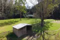 Property photo of 11 Kingtree Lane Cedar Brush Creek NSW 2259