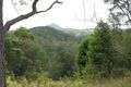 Property photo of 1353 Eumundi Noosa Road Eumundi QLD 4562