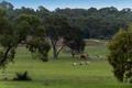 Property photo of 64 Caladenia Road Wanerie WA 6503