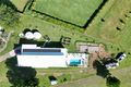 Property photo of 47 Saddlebag Court Chatsworth QLD 4570