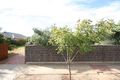 Property photo of 108A Carlton Parade Torrensville SA 5031