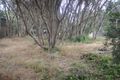 Property photo of 6 Adam Street Rye VIC 3941