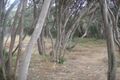 Property photo of 6 Adam Street Rye VIC 3941
