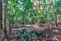 Property photo of 60 May Street Cooktown QLD 4895