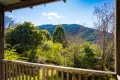 Property photo of 9050 Princes Highway Tilba Tilba NSW 2546