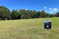 Property photo of 37 William Road Eumundi QLD 4562