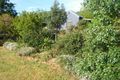 Property photo of 7082 Kiewa Valley Highway Tawonga VIC 3697