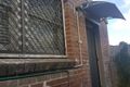 Property photo of 5 Angelo Street Burwood NSW 2134