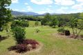 Property photo of 43 Tyalgum Ridge Road Tyalgum NSW 2484