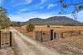 Property photo of 3100 Maroondah Highway Taggerty VIC 3714