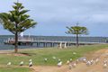 Property photo of 18 Fisher Street Manns Beach VIC 3971