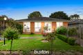 Property photo of 36 Colac Grove Belmont VIC 3216