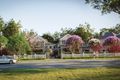 Property photo of 4/149-153 Livingstone Avenue Pymble NSW 2073