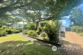 Property photo of 648 Freemans Drive Cooranbong NSW 2265