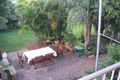 Property photo of 49 Hillcrest Parade Miami QLD 4220