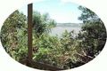 Property photo of 170 Broadwater Esplanade Bilambil Heights NSW 2486