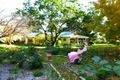 Property photo of 559 Green Road Mairjimmy NSW 2716