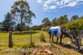 Property photo of 1 Marlou Court Riverside TAS 7250