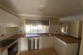 Property photo of 7 Karen Court Raceview QLD 4305