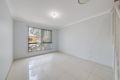 Property photo of 17 Glass House Boulevard Minto NSW 2566