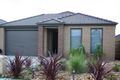 Property photo of 7 Tilly Place Lynbrook VIC 3975