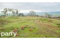 Property photo of 74 Peddie Drive Dilston TAS 7252