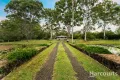 Property photo of 7 Rankin Street Howard QLD 4659