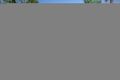 Property photo of 251 Wellington Street Ormiston QLD 4160